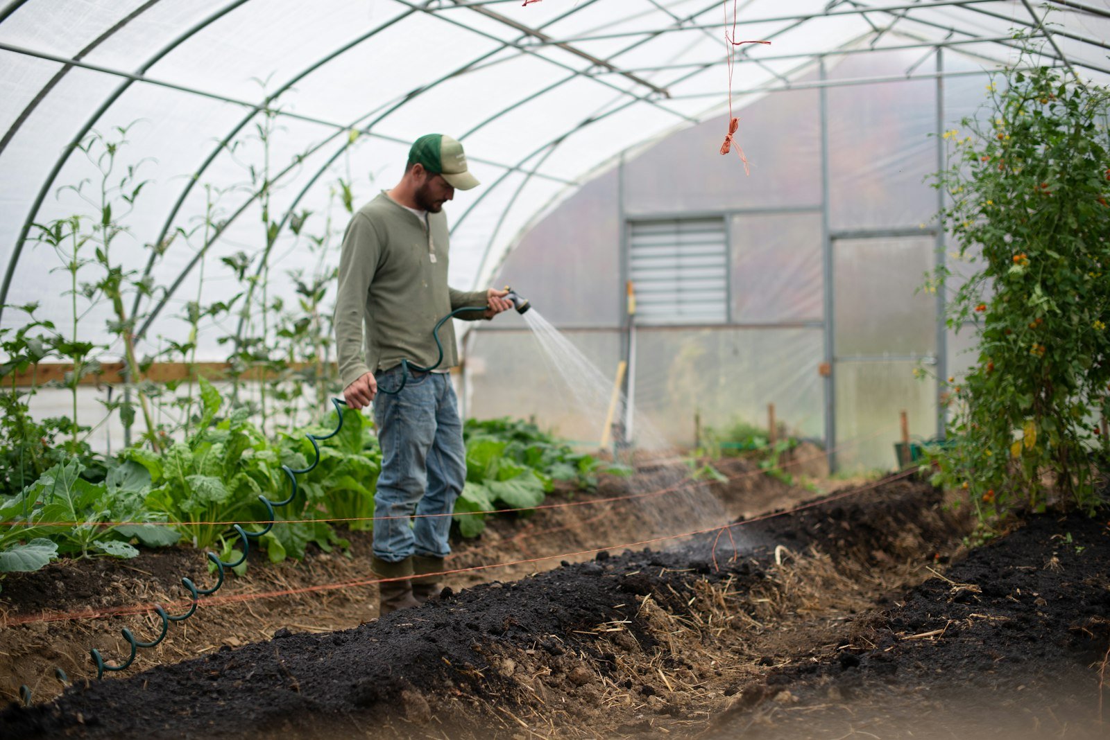 IA para pequenos produtores rurais: clima, manejo e vendas