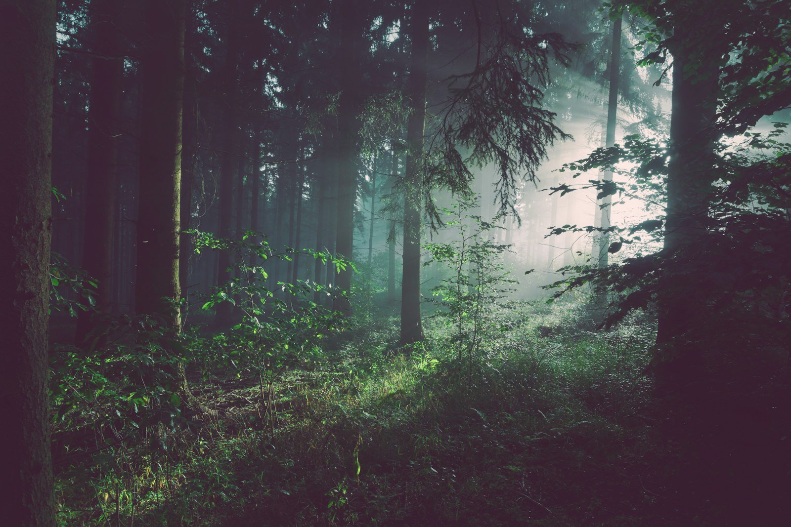 IA na elaboração de Rima e estudos de licenciamento ambiental